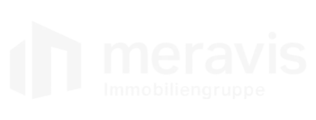 meravis logo