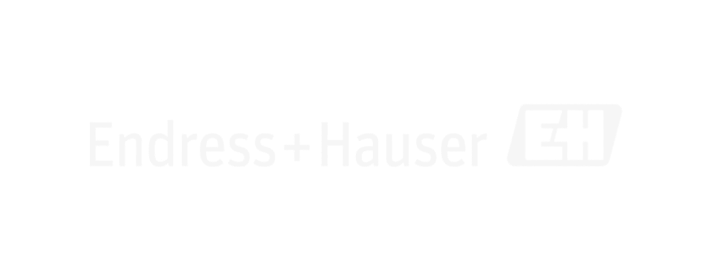 Endress Hauser logo