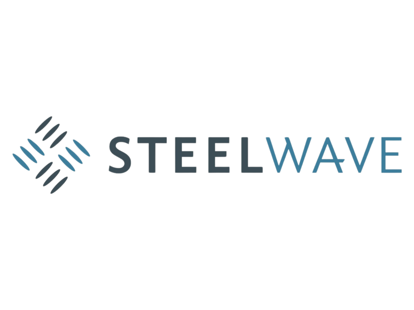 logo client steelwave